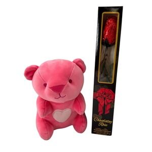 Aurora Plush Pink Teddy Bear & Chocolate Rose Box Gift Set Valentine Gift Love